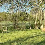 Casa vacanze Maison Spacieuse Avec Jardin Et Animaux Acceptés, Idéale Pour Famille Ou Amis - Fr-1-497-232