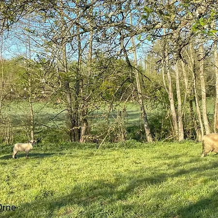 Lantställe Maison Spacieuse Avec Jardin Et Animaux Acceptes, Ideale Pour Famille Ou Amis - Fr-1-497-232